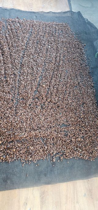 뿌리묘목농원님의 자유주제 · 자유게시판 작성글 사진