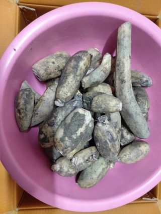 조명희님의 자유주제 · 자유게시판 작성글 사진