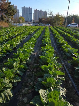 박용열조물주님 님의 자유주제 · 자유게시판 작성글 사진