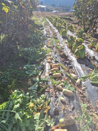 정희군님의 자유주제 · 자유게시판 작성글 사진