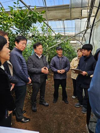 제주 지안이네농장님의 자유주제 · 자유게시판 작성글 사진