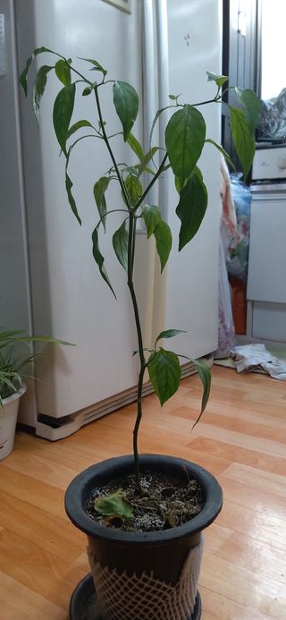 김영문님의 자유주제 · 자유게시판 작성글 사진