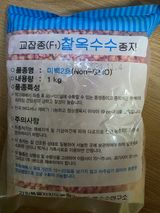 팜모닝 · 게시글 이미지