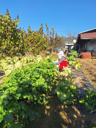 정희군님의 자유주제 · 자유게시판 작성글 사진