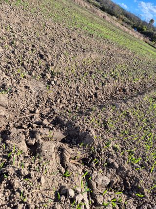 김영진(전남영광)님의 자유주제 · 자유게시판 작성글 사진
