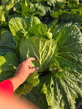 박용열조물주님 님의 자유주제 · 자유게시판 작성글 사진