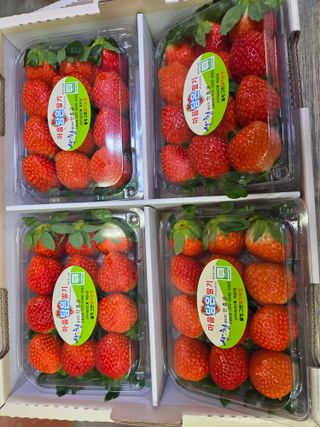 안성화님의 자유주제 · 자유게시판 작성글 사진