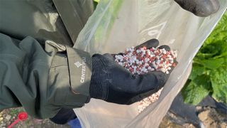 누보농장님의 자유주제 · 자유게시판 작성글 사진