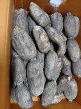 팜모닝 자유주제·자유게시판 게시글 이미지