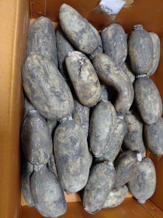 조명희님의 자유주제 · 자유게시판 작성글 사진