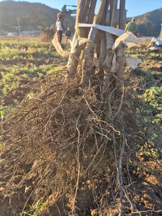 우리농원님의 자유주제 · 자유게시판 작성글 사진