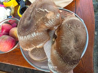 화성농원님의 자유주제 · 자유게시판 작성글 사진