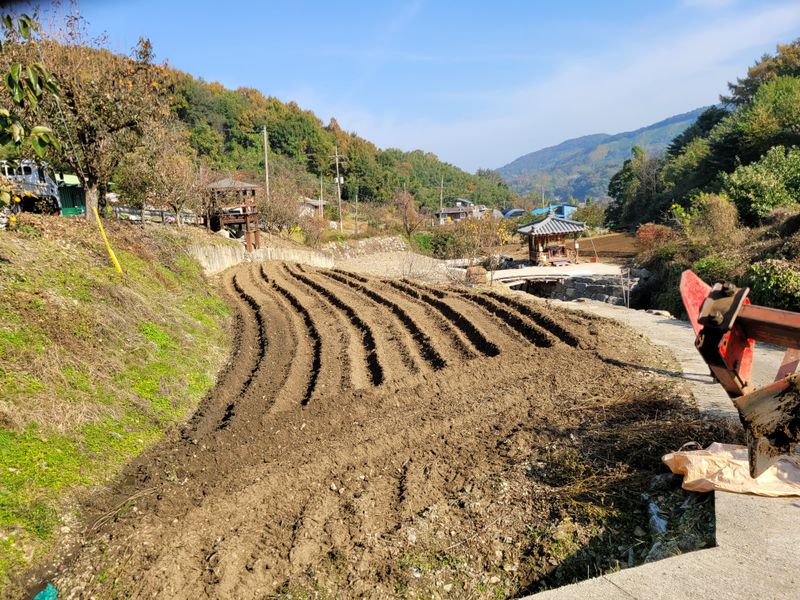 팜모닝회원논산농부님의 장터 판매 상품 [서리태 팥] 첨부 사진