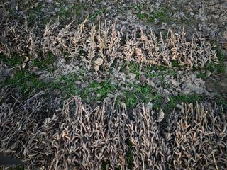 희찬모(정정자)님의 자유주제 · 자유게시판 작성글 사진