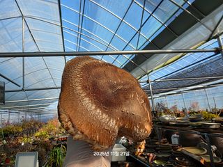 화성농원님의 자유주제 · 자유게시판 작성글 사진