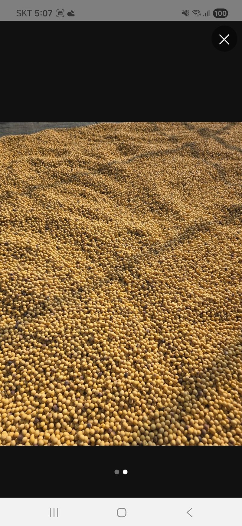 장터 상품 [백태(대찬콩)] 썸네일