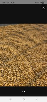 팜모닝 · 게시글 이미지