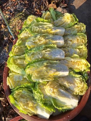 정희군님의 자유주제 · 자유게시판 작성글 사진