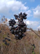 팜모닝 자유주제·자유게시판 게시글 이미지