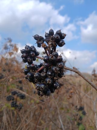 무료지식나눔 팜닥터님의 자유주제 · 자유게시판 작성글 사진