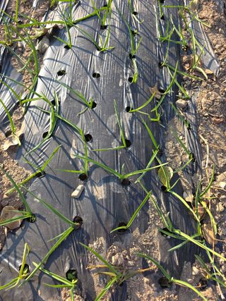 박용열조물주님 님의 자유주제 · 자유게시판 작성글 사진