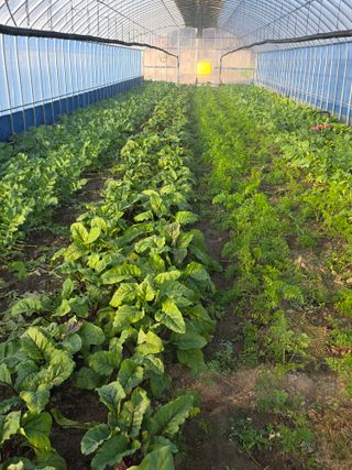 박용열조물주님 님의 자유주제 · 자유게시판 작성글 사진