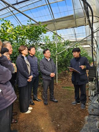 제주 지안이네농장님의 자유주제 · 자유게시판 작성글 사진