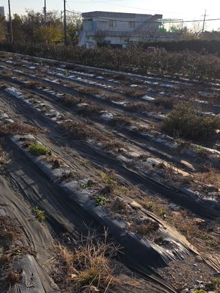 박용열조물주님 님의 자유주제 · 자유게시판 작성글 사진