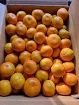 팜모닝 · 게시글 이미지