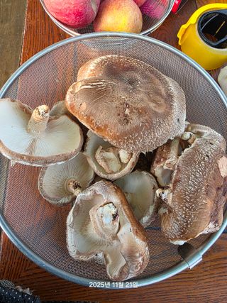 화성농원님의 자유주제 · 자유게시판 작성글 사진