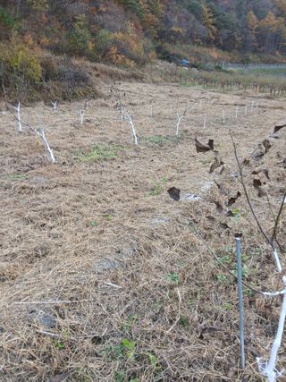 유석범님의 자유주제 · 사진전 작성글 사진