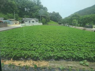 조규진 님의 자유주제 · 자유게시판 작성글 사진