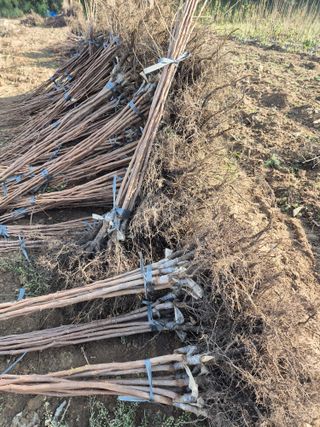 우리농원님의 자유주제 · 자유게시판 작성글 사진