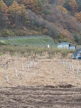 팜모닝 자유주제·사진전 게시글 이미지