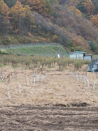 유석범님의 자유주제 · 사진전 작성글 사진