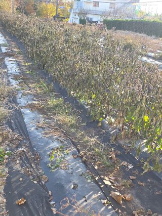 박용열조물주님 님의 자유주제 · 자유게시판 작성글 사진