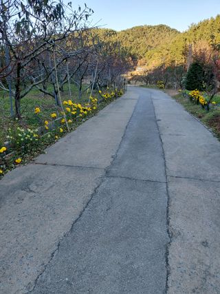 조명희님의 자유주제 · 자유게시판 작성글 사진