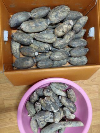 조명희님의 자유주제 · 자유게시판 작성글 사진