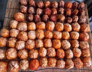 연향님의 자유주제 · 자유게시판 작성글 사진