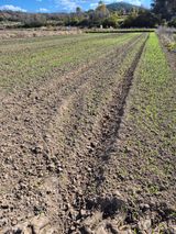 팜모닝 자유주제·자유게시판 게시글 이미지