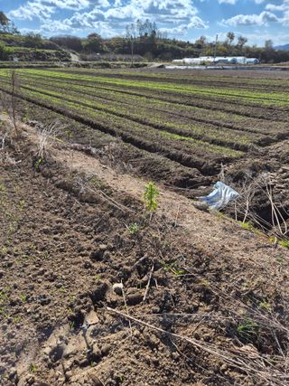 김영진(전남영광)님의 자유주제 · 자유게시판 작성글 사진