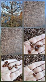 팜모닝 자유주제·자유게시판 게시글 이미지