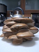 팜모닝 자유주제·자유게시판 게시글 이미지