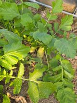 팜모닝 자유주제·자유게시판 게시글 이미지