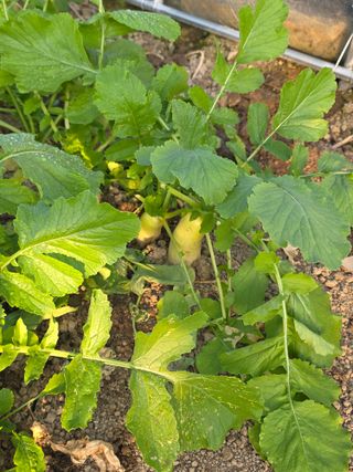 박용열조물주님 님의 자유주제 · 자유게시판 작성글 사진