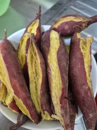 귤19190님의 작성글 사진