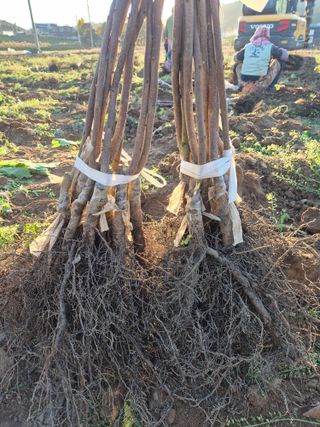 우리농원님의 자유주제 · 자유게시판 작성글 사진