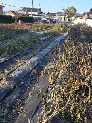 박용열조물주님 님의 자유주제 · 자유게시판 작성글 사진