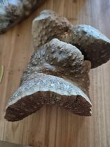 팜모닝 · 게시글 이미지