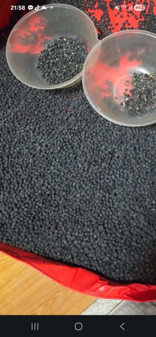 스마일님의 작성글 사진